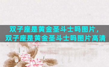 双子座是黄金圣斗士吗图片，双子座是黄金圣斗士吗图片高清