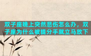 双子座晚上突然悲伤怎么办，双子座为什么被提分手就立马放下