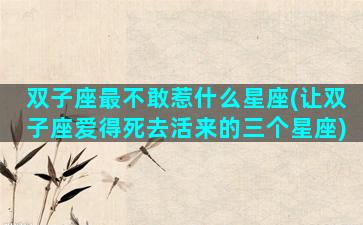 双子座最不敢惹什么星座(让双子座爱得死去活来的三个星座)
