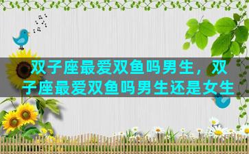 双子座最爱双鱼吗男生，双子座最爱双鱼吗男生还是女生