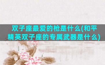 双子座最爱的枪是什么(和平精英双子座的专属武器是什么)