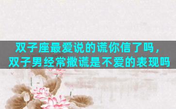 双子座最爱说的谎你信了吗，双子男经常撒谎是不爱的表现吗
