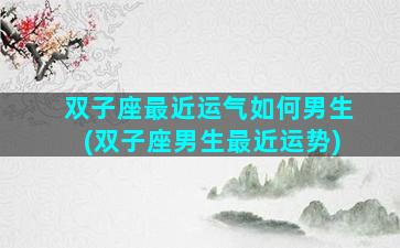 双子座最近运气如何男生(双子座男生最近运势)