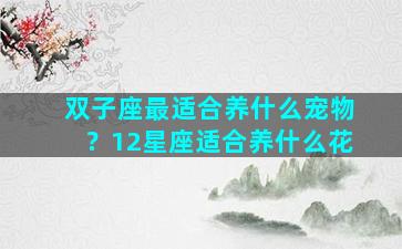 双子座最适合养什么宠物？12星座适合养什么花