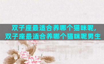 双子座最适合养哪个猫咪呢,双子座最适合养哪个猫咪呢男生