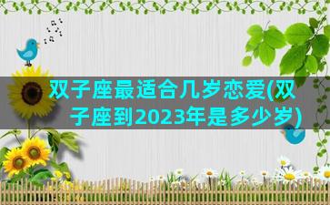 双子座最适合几岁恋爱(双子座到2023年是多少岁)