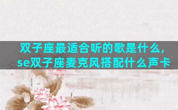 双子座最适合听的歌是什么,se双子座麦克风搭配什么声卡