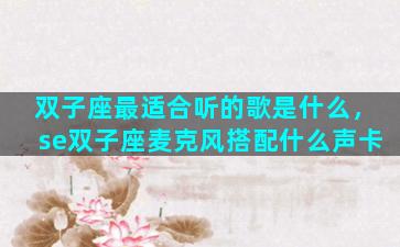 双子座最适合听的歌是什么，se双子座麦克风搭配什么声卡