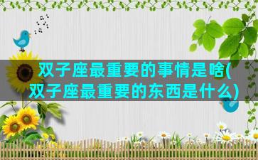 双子座最重要的事情是啥(双子座最重要的东西是什么)