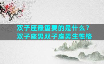 双子座最重要的是什么？双子座男双子座男生性格