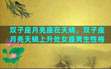 双子座月亮座在天蝎，双子座月亮天蝎上升处女座男生性格