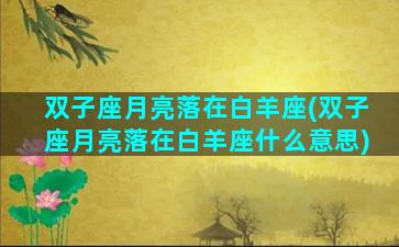 双子座月亮落在白羊座(双子座月亮落在白羊座什么意思)