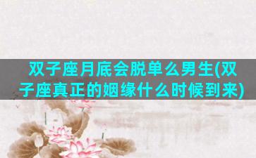 双子座月底会脱单么男生(双子座真正的姻缘什么时候到来)