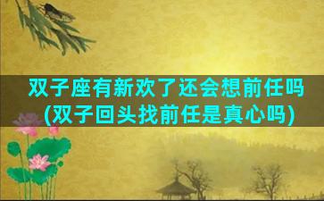 双子座有新欢了还会想前任吗(双子回头找前任是真心吗)