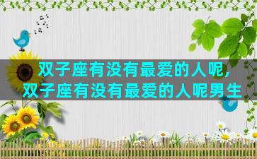 双子座有没有最爱的人呢,双子座有没有最爱的人呢男生