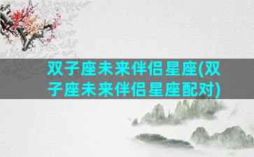 双子座未来伴侣星座(双子座未来伴侣星座配对)