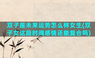 双子座未来运势怎么样女生(双子女这段时间感情还能复合吗)
