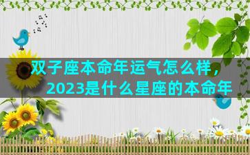 双子座本命年运气怎么样，2023是什么星座的本命年