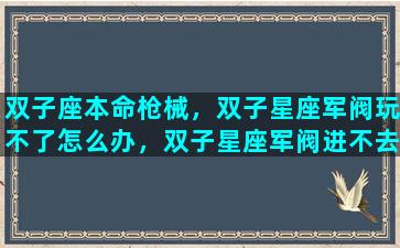 双子座本命枪械，双子星座军阀玩不了怎么办，双子星座军阀进不去解决方法