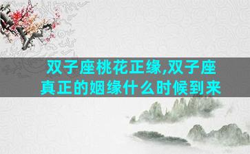 双子座桃花正缘,双子座真正的姻缘什么时候到来