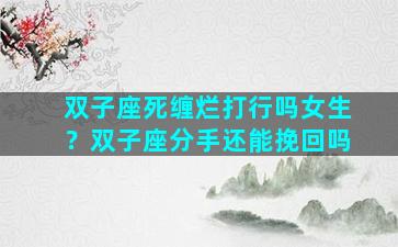 双子座死缠烂打行吗女生？双子座分手还能挽回吗