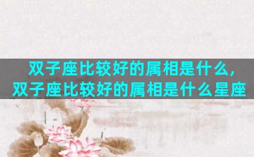 双子座比较好的属相是什么,双子座比较好的属相是什么星座