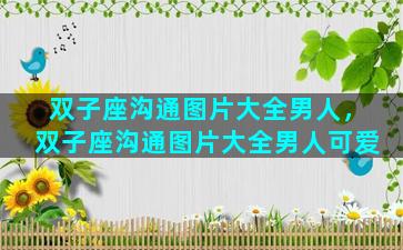 双子座沟通图片大全男人，双子座沟通图片大全男人可爱