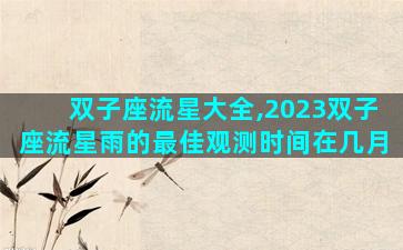 双子座流星大全,2023双子座流星雨的最佳观测时间在几月