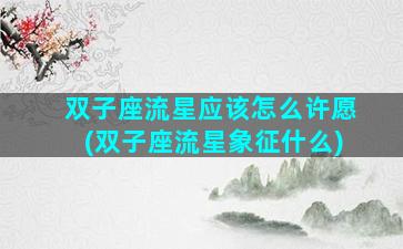 双子座流星应该怎么许愿(双子座流星象征什么)
