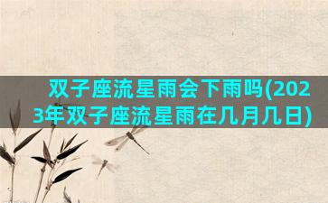 双子座流星雨会下雨吗(2023年双子座流星雨在几月几日)