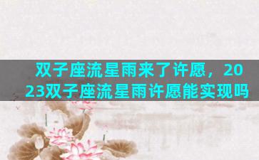双子座流星雨来了许愿，2023双子座流星雨许愿能实现吗