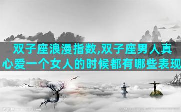 双子座浪漫指数,双子座男人真心爱一个女人的时候都有哪些表现