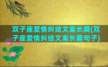 双子座爱情纠结文案长篇(双子座爱情纠结文案长篇句子)