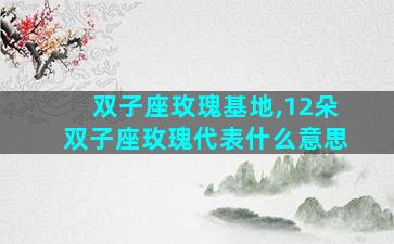 双子座玫瑰基地,12朵双子座玫瑰代表什么意思