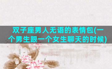 双子座男人无语的表情包(一个男生跟一个女生聊天的时候)