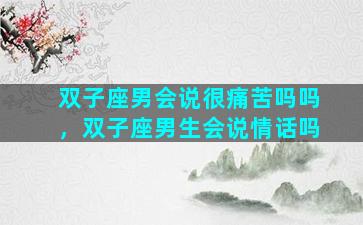 双子座男会说很痛苦吗吗，双子座男生会说情话吗