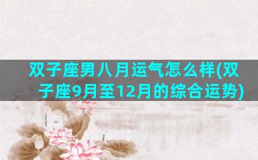 双子座男八月运气怎么样(双子座9月至12月的综合运势)