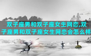 双子座男和双子座女生网恋,双子座男和双子座女生网恋会怎么样