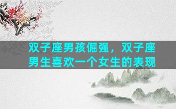 双子座男孩倔强，双子座男生喜欢一个女生的表现