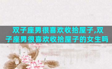 双子座男很喜欢收拾屋子,双子座男很喜欢收拾屋子的女生吗