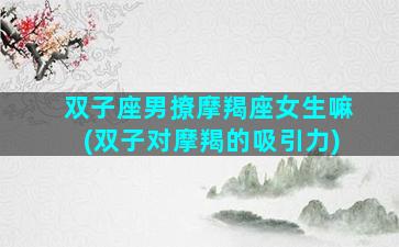 双子座男撩摩羯座女生嘛(双子对摩羯的吸引力)