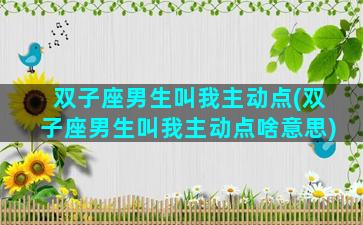 双子座男生叫我主动点(双子座男生叫我主动点啥意思)