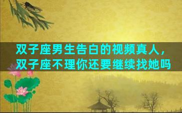 双子座男生告白的视频真人，双子座不理你还要继续找她吗