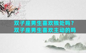 双子座男生喜欢独处吗？双子座男生喜欢主动的吗