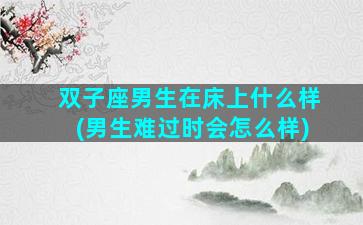双子座男生在床上什么样(男生难过时会怎么样)