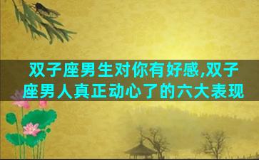 双子座男生对你有好感,双子座男人真正动心了的六大表现