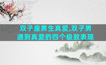 双子座男生真爱,双子男遇到真爱的四个极致表现