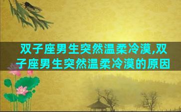 双子座男生突然温柔冷漠,双子座男生突然温柔冷漠的原因
