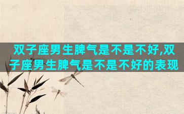 双子座男生脾气是不是不好,双子座男生脾气是不是不好的表现