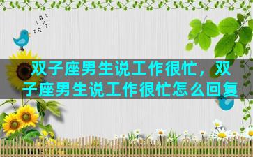 双子座男生说工作很忙，双子座男生说工作很忙怎么回复